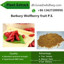 Female Drug 50% 60% Chinabarbury Wolfberry Fruit P. E.